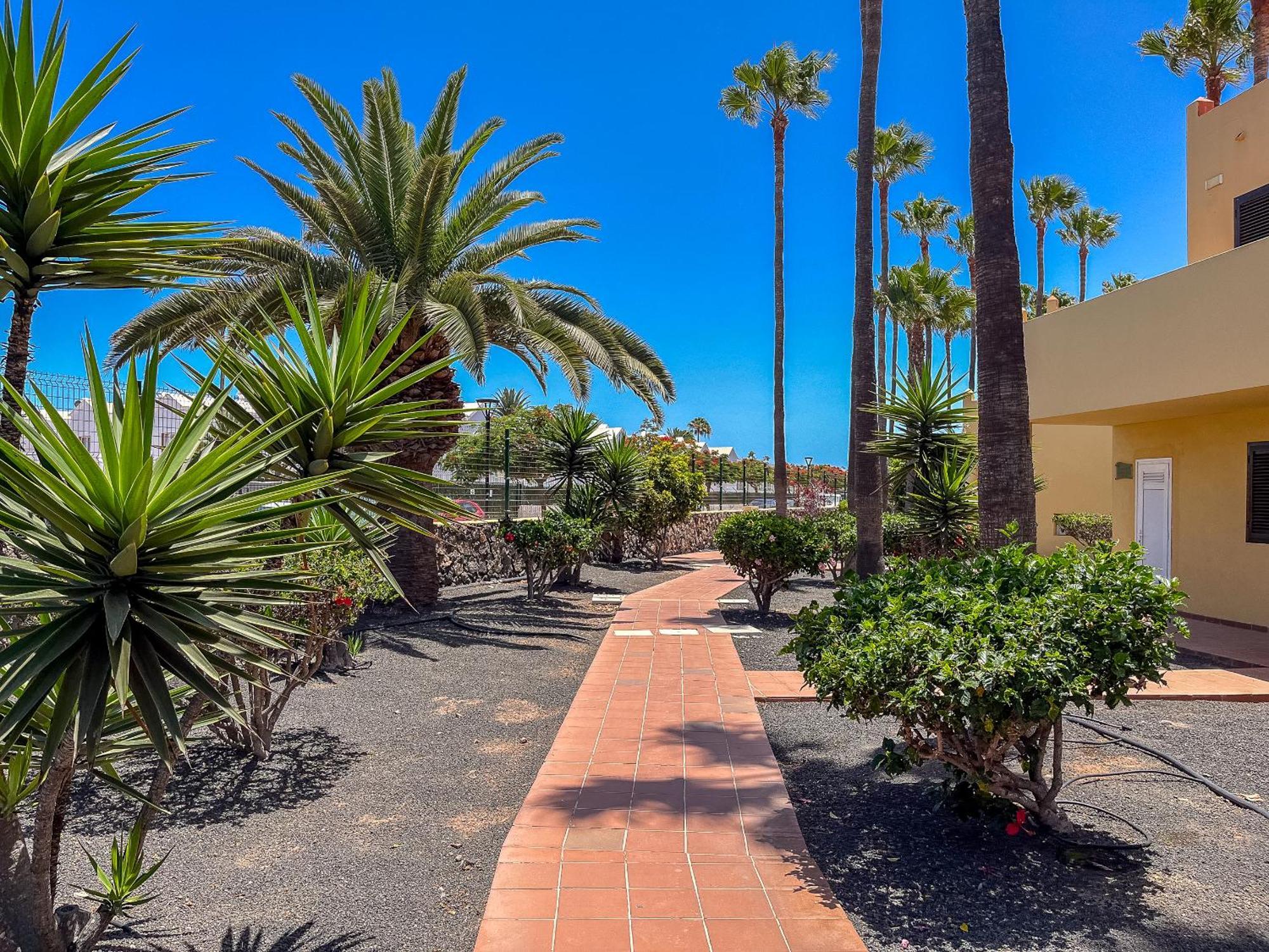 Apartamentos Oasis Royal Corralejo F314 Dış mekan fotoğraf