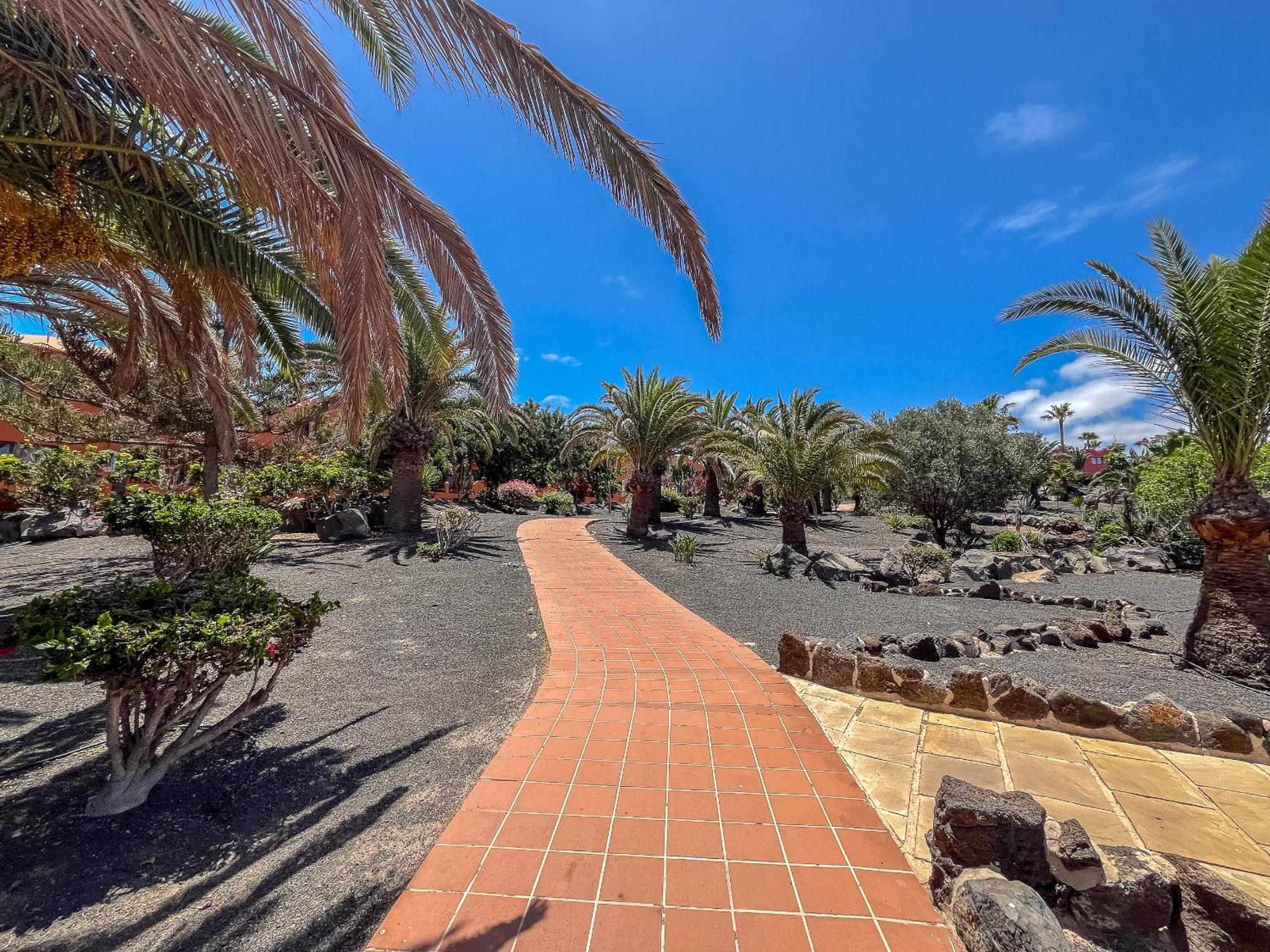 Apartamentos Oasis Royal Corralejo F314 Dış mekan fotoğraf