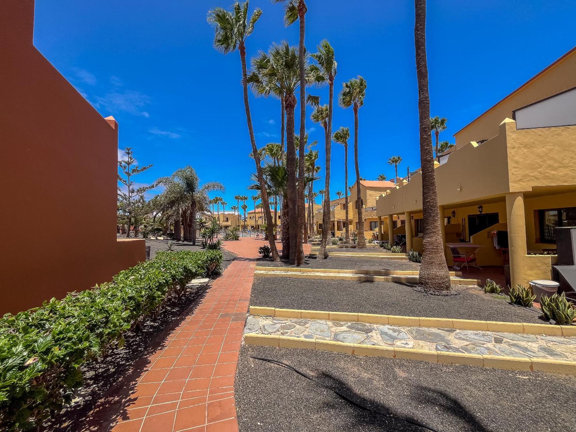 Apartamentos Oasis Royal Corralejo F314 Dış mekan fotoğraf