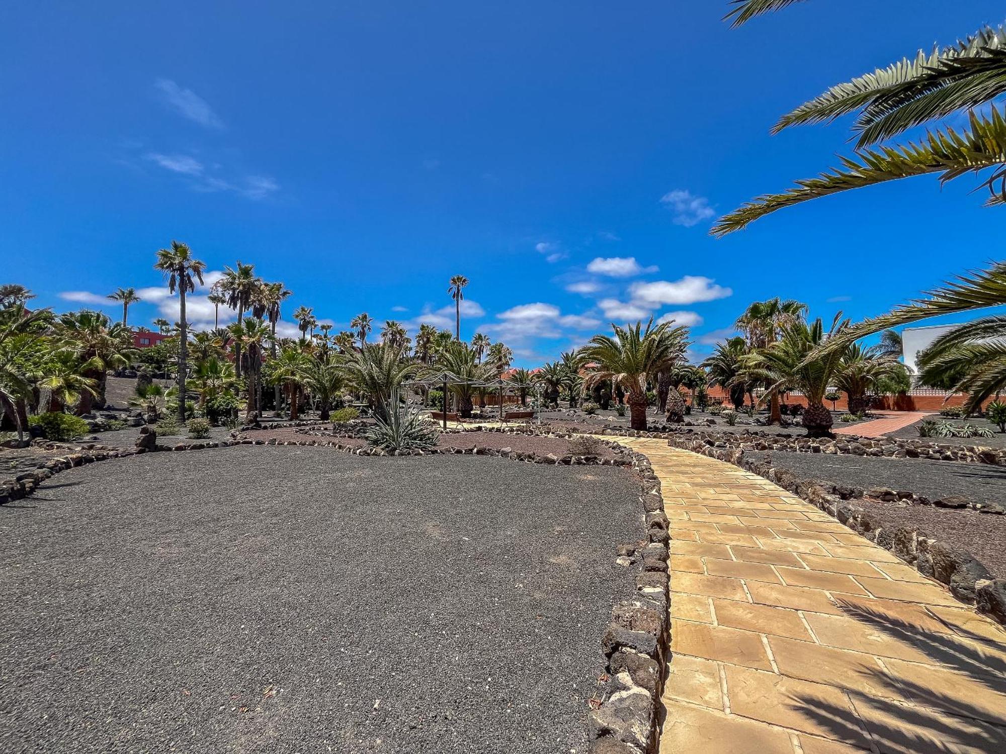 Apartamentos Oasis Royal Corralejo F314 Dış mekan fotoğraf