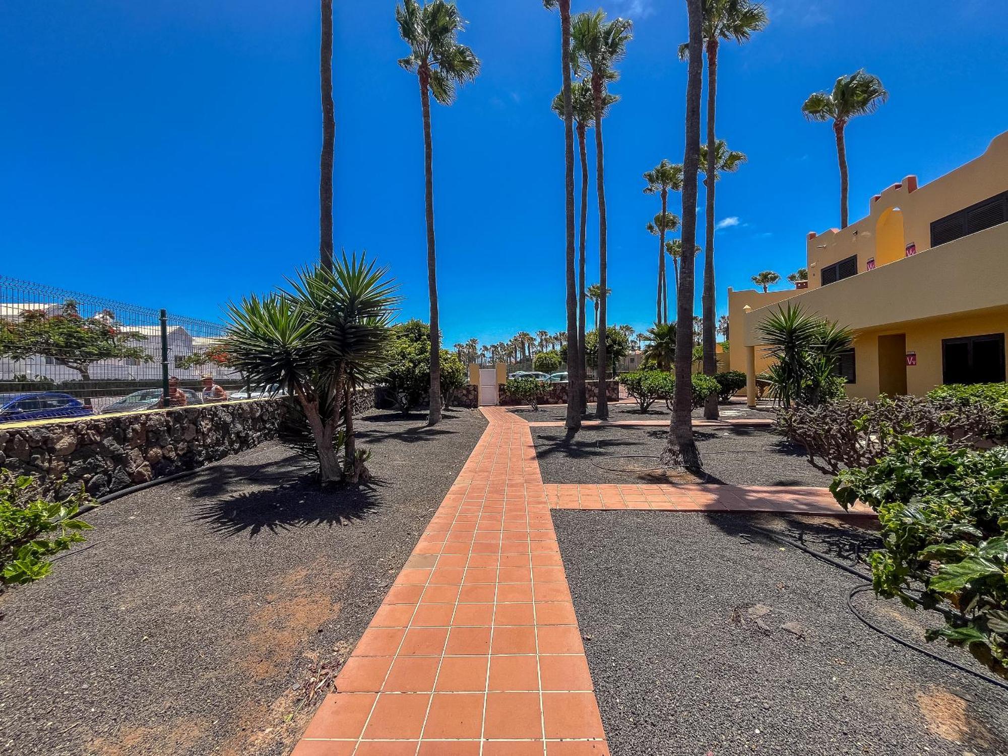 Apartamentos Oasis Royal Corralejo F314 Dış mekan fotoğraf
